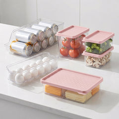 Conjunto 6 Organizadores Geladeira/Despensa Rosa UZ - ambientada