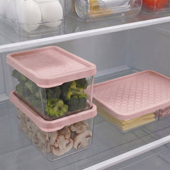 Conjunto 6 Organizadores Geladeira/Despensa Rosa UZ - ambientada